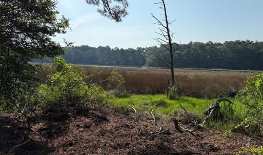 Photo #23 of 5252 LUCAS TR, MACHIPONGO, VA 2.4 acres