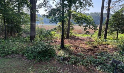 Photo #3 of 5252 LUCAS TR, MACHIPONGO, VA 2.4 acres