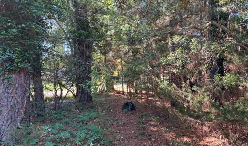 Photo #18 of 6038* LIMPET DR, HORNTOWN, VA 0.2 acres