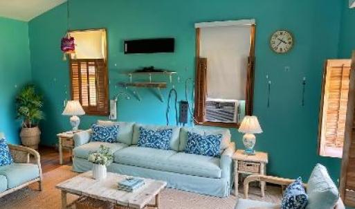 Photo #10 of 3560 CAPTAINS CORRIDOR, GREENBACKVILLE, VA 0.3 acres