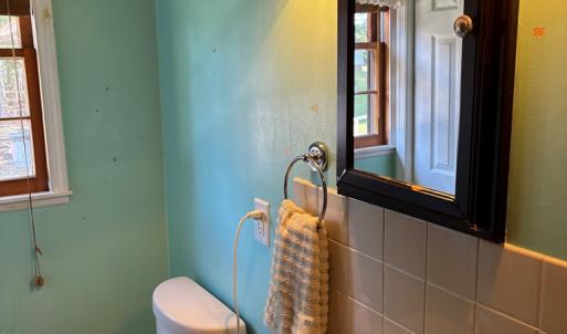 Photo #30 of 3560 CAPTAINS CORRIDOR, GREENBACKVILLE, VA 0.3 acres