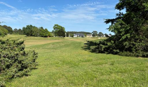 Photo #45 of 3560 CAPTAINS CORRIDOR, GREENBACKVILLE, VA 0.3 acres