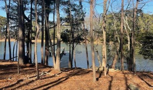 Photo #6 of 22080 VERLINDA LNDG NORTH, CAPE CHARLES, VA 0.5 acres