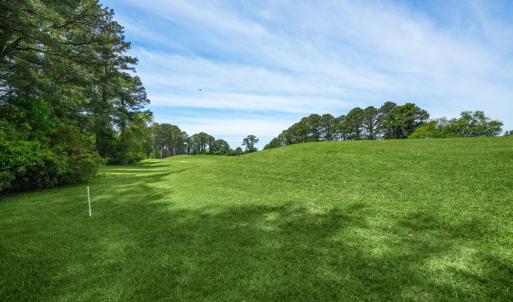 Photo #48 of 3074 CAPTAINS CORRIDOR, GREENBACKVILLE, VA 10.0 acres