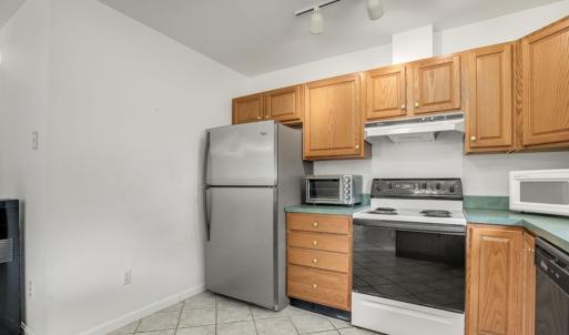 Photo #11 of 37122 SHARK CT, GREENBACKVILLE, VA 70.0 acres