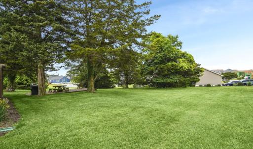 Photo #36 of 37122 SHARK CT, GREENBACKVILLE, VA 70.0 acres