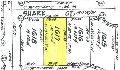 Photo #43 of 37122 SHARK CT, GREENBACKVILLE, VA 70.0 acres