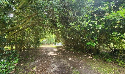 Photo #46 of 12069 BLUE TEAL LN, MACHIPONGO, VA 0.9 acres