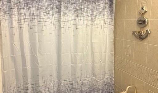 Photo #28 of 2561 CAPTAINS CORRIDOR, GREENBACKVILLE, VA 0.3 acres