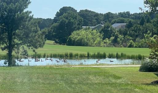 Photo #35 of 2561 CAPTAINS CORRIDOR, GREENBACKVILLE, VA 0.3 acres