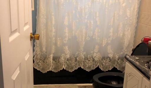 Photo #26 of 2561 CAPTAINS CORRIDOR, GREENBACKVILLE, VA 0.3 acres