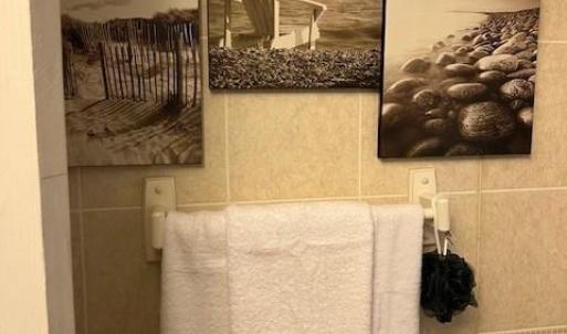 Photo #27 of 2561 CAPTAINS CORRIDOR, GREENBACKVILLE, VA 0.3 acres