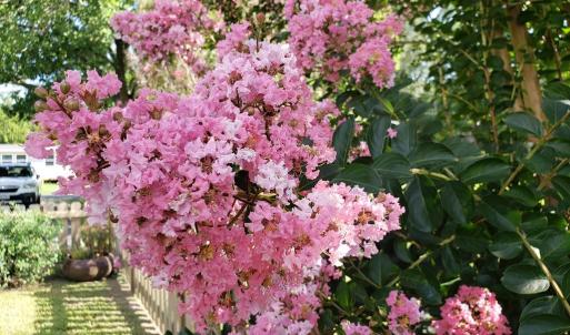 Photo #53 of 31523 SUNRISE DR, PAINTER, VA 0.3 acres