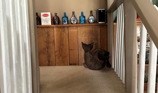 Photo #11 of 30191 BACK CREEK RD, HACKSNECK, VA 1.9 acres