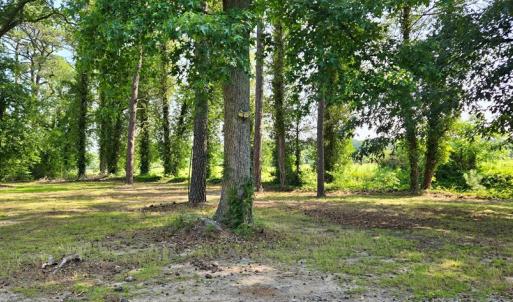 Photo #13 of 21020 ADAMS ROAD, GREENBUSH, VA 2.9 acres