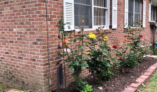 Photo #14 of 21020 ADAMS ROAD, GREENBUSH, VA 2.9 acres