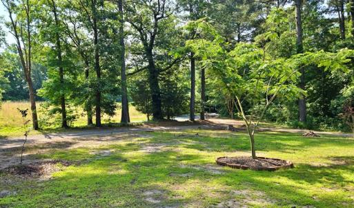 Photo #15 of 21020 ADAMS ROAD, GREENBUSH, VA 2.9 acres