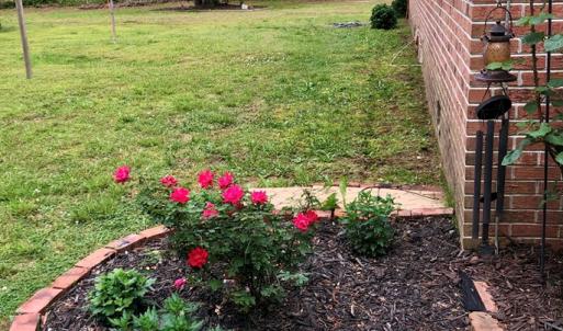 Photo #17 of 21020 ADAMS ROAD, GREENBUSH, VA 2.9 acres