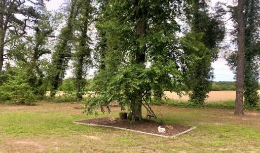 Photo #19 of 21020 ADAMS ROAD, GREENBUSH, VA 2.9 acres