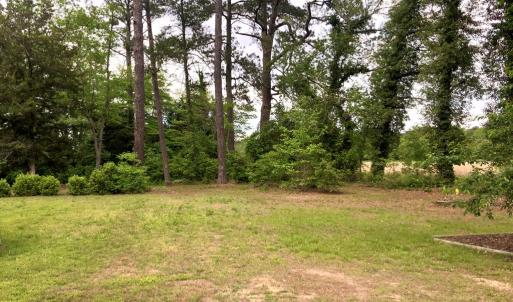 Photo #23 of 21020 ADAMS ROAD, GREENBUSH, VA 2.9 acres