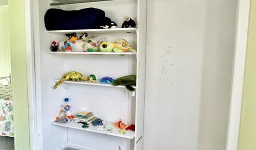 Photo #75 of 3250 COLONA ST, CHINCOTEAGUE, VA 0.7 acres