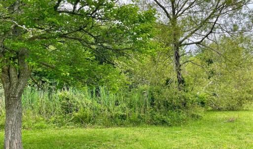 Photo #80 of 3250 COLONA ST, CHINCOTEAGUE, VA 0.7 acres