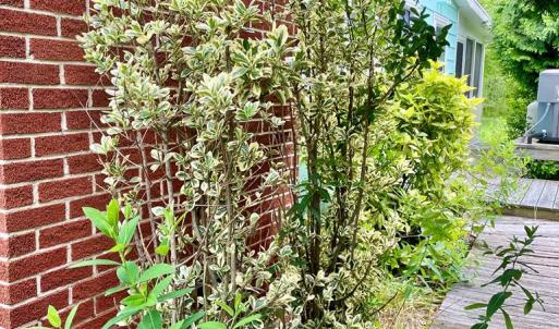 Photo #83 of 3250 COLONA ST, CHINCOTEAGUE, VA 0.7 acres