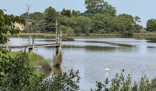 Photo #6 of 22285 GREEN TOP DR, ONANCOCK, VA 14.8 acres