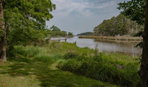 Photo #7 of 22285 GREEN TOP DR, ONANCOCK, VA 14.8 acres