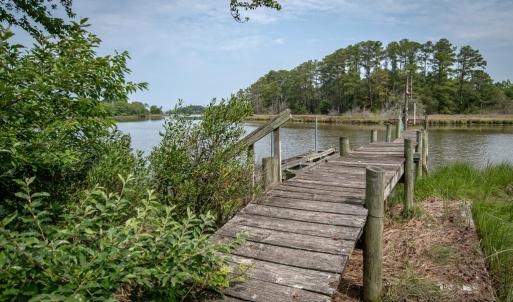 Photo #5 of 22285 GREEN TOP DR, ONANCOCK, VA 14.8 acres