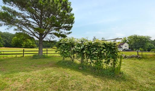 Photo #77 of 25367 MESSONGO RD, TEMPERANCEVILLE, VA 41.0 acres