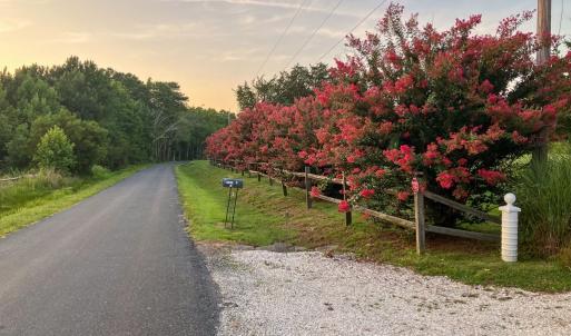 Photo #94 of 25367 MESSONGO RD, TEMPERANCEVILLE, VA 41.0 acres