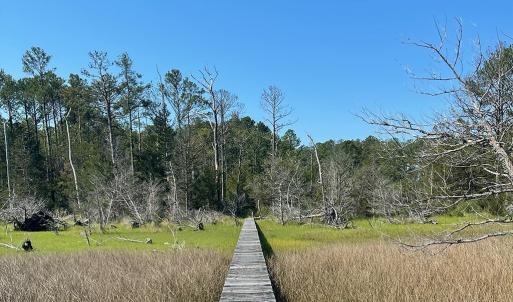 Photo #8 of 14457 BROADWAY RD, ONANCOCK, VA 174,240.0 acres