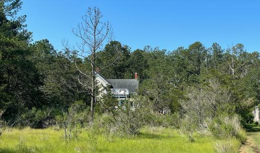 Photo #9 of 14457 BROADWAY RD, ONANCOCK, VA 174,240.0 acres
