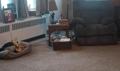 Photo #9 of 20224 SAXIS RD, SAXIS, VA 0.5 acres