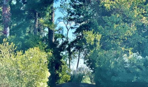 Photo #88 of 5108 WILDCAT LN, CHINCOTEAGUE, VA 4.7 acres