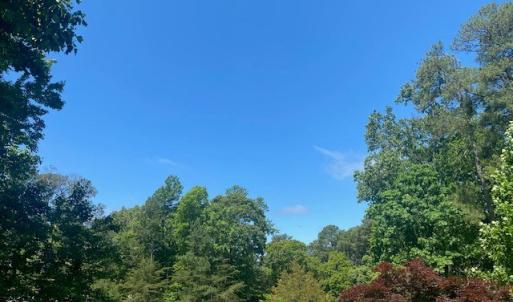 Photo #10 of 35023 BLACK OAK CT, HORNTOWN, VA 0.1 acres