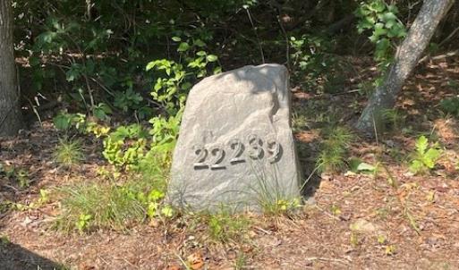 Photo #21 of 22239 SEASIDE RD, CAPE CHARLES, VA 2.0 acres