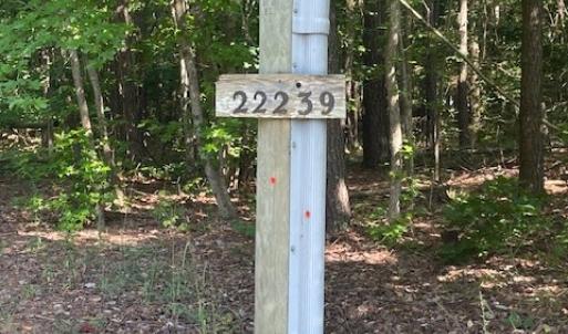 Photo #22 of 22239 SEASIDE RD, CAPE CHARLES, VA 2.0 acres