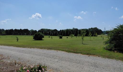 Photo #19 of 30363 BIG PINE RD, PAINTER, VA 5.9 acres