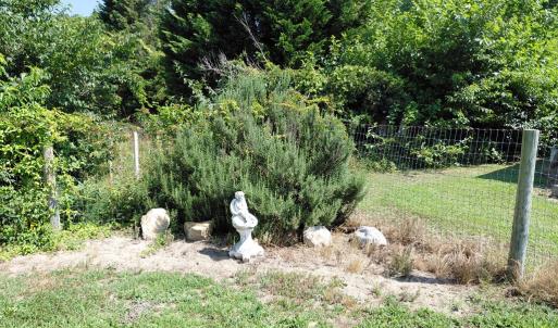 Photo #24 of 30363 BIG PINE RD, PAINTER, VA 5.9 acres