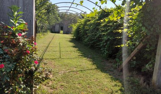 Photo #69 of 30363 BIG PINE RD, PAINTER, VA 5.9 acres