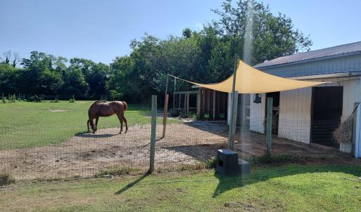 Photo #72 of 30363 BIG PINE RD, PAINTER, VA 5.9 acres