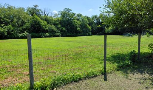 Photo #8 of 30363 BIG PINE RD, PAINTER, VA 5.9 acres