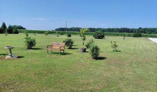 Photo #81 of 30363 BIG PINE RD, PAINTER, VA 5.9 acres