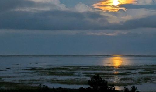 Photo #7 of 6526 BROADWATER CIR, OYSTER, VA 40.0 acres