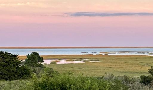 Photo #9 of 6526 BROADWATER CIR, OYSTER, VA 40.0 acres