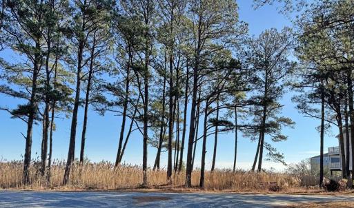 Photo #8 of Lot 720 CASTAWAY DR, GREENBACKVILLE, VA 8.0 acres
