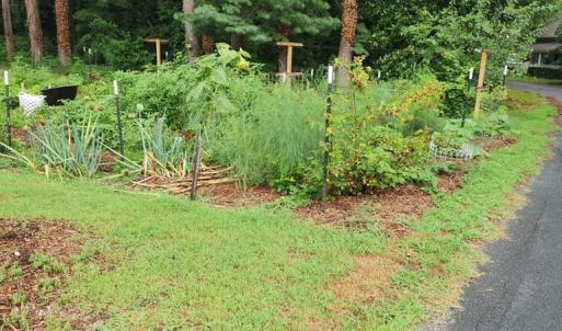Photo #8 of 23613 FRONT ST, ACCOMAC, VA 0.5 acres