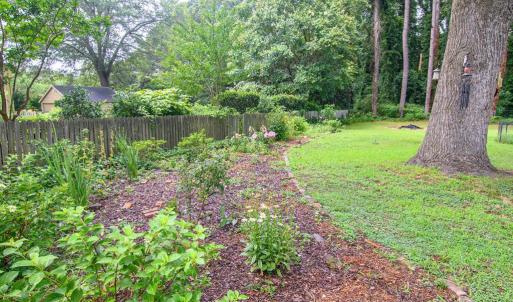 Beautiful Perennials